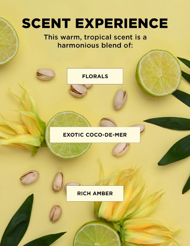 BounceME Dream Mane Curl Kit