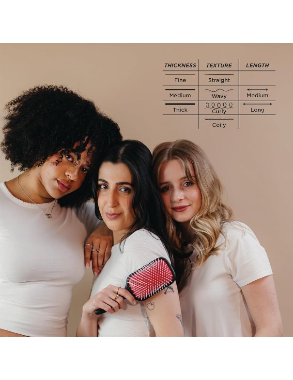 Denman D38 La palette démêlante et coiffante