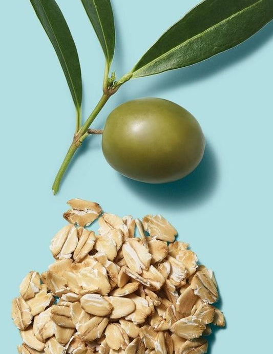 Shampoing hydratant Clean Beauty de Paul Mitchell - 250 ml