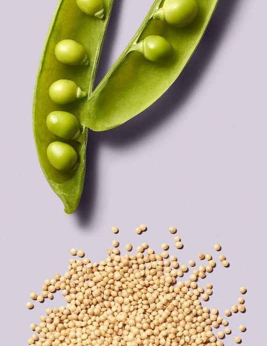 Shampoing réparateur Paul Mitchell Clean Beauty - 1 L