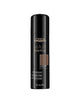 L'Oreal Professionnel Hair Touch Up Light Brown