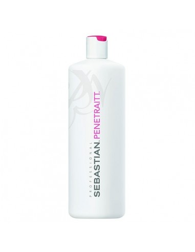 Sebastian Penetraitt Masque - 500ml - Out of Stock