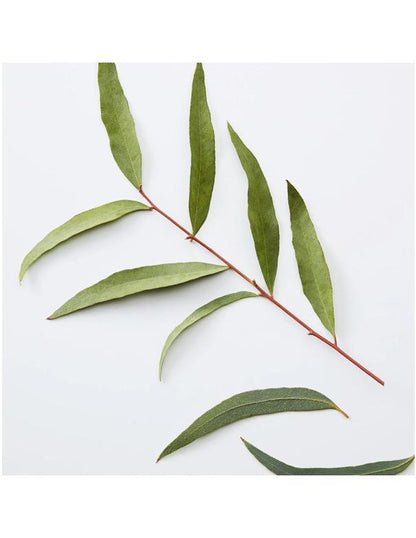 American Crew 3 en 1 Camomille Pin - 250 ml