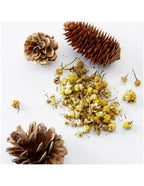 American Crew 3-in-1 Chamomile Pine - 450ml