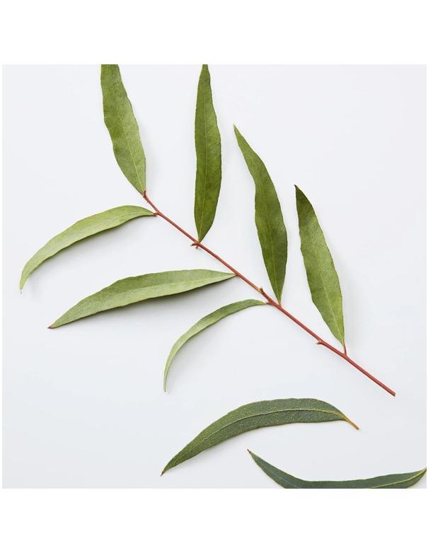 American Crew 3-en-1 Camomille Pin - 1000 ml