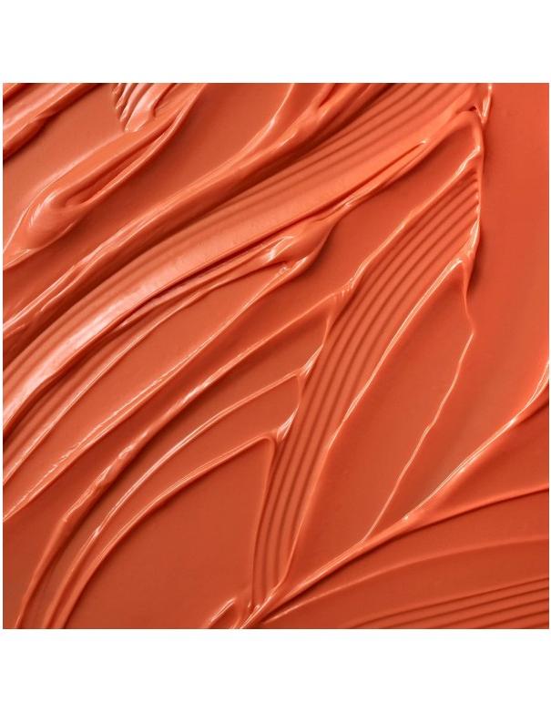 Moroccanoil Masque Déposant Couleur Corail - 200 ml