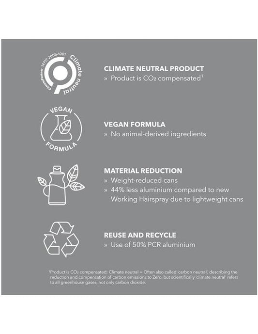 Goldwell StyleSign Working Hairspray - 222g