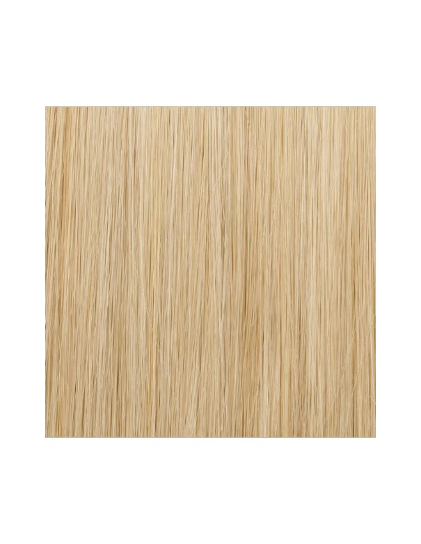 Jon Renau Fun Bun - Poppy Seed 22MB