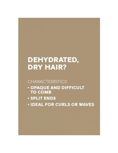 Morphosis Sublimis Oil Conditioner - 250ml