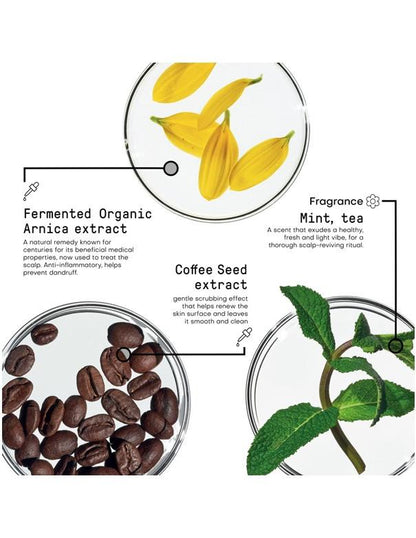 Morphosis Exfoliant pour le Cuir Chevelu - 150 ml