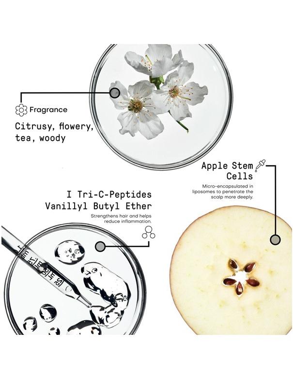Morphosis Densifying Shampoo - 250ml