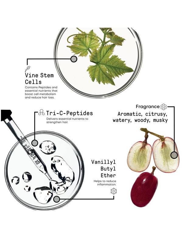 Spray Énergisant Renforçant Morphosis - 150 ml