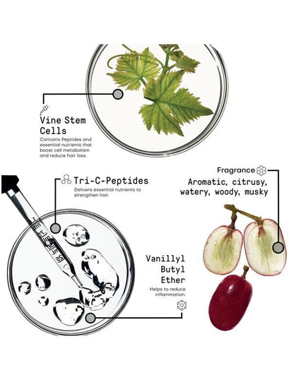 Spray Énergisant Renforçant Morphosis - 150 ml