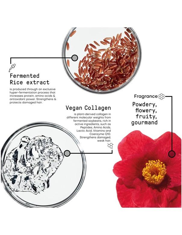 Morphosis Restructure Conditioner - 250ml