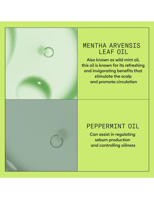 Après-shampoing Nioxin System 2 Scalp + Hair - 500 ml