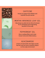 Traitement du cuir chevelu Nioxin System 4 - 100 ml