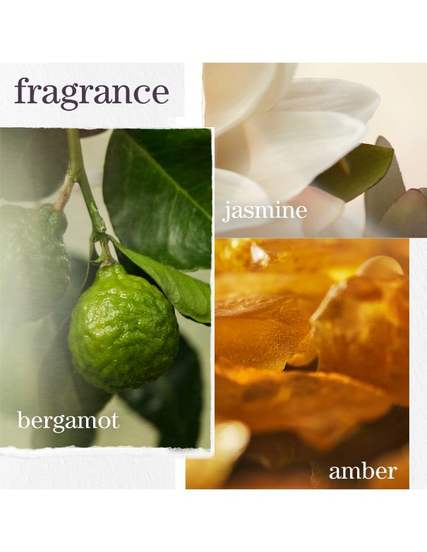 Kit de vacances Pureology Strength Cure