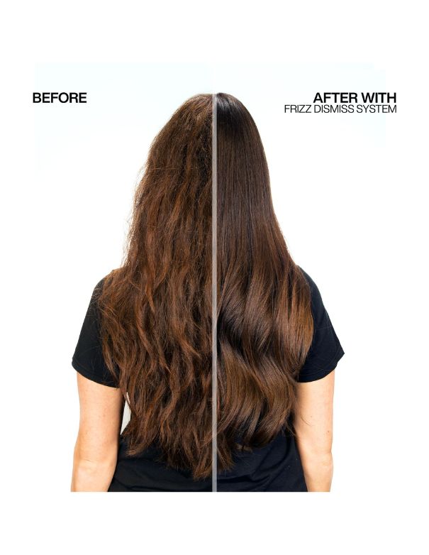 Redken Frizz Dismiss Rebel Tame - 250ml